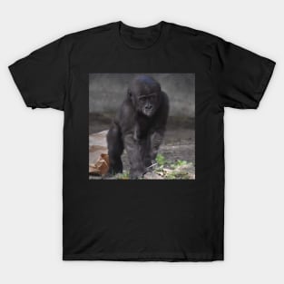 Western Lowland Gorilla T-Shirt